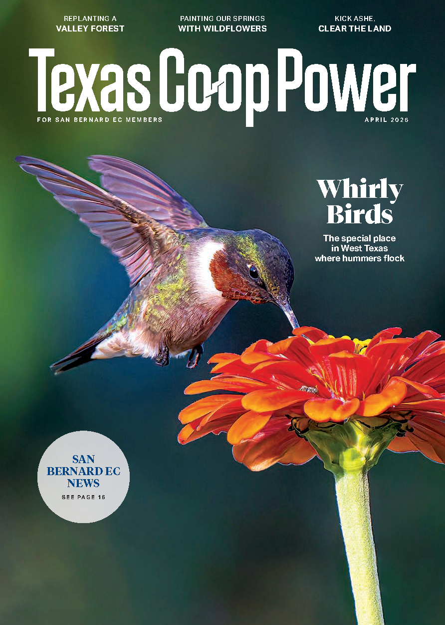 April 2026 Edition of Texas Co-Op Power 